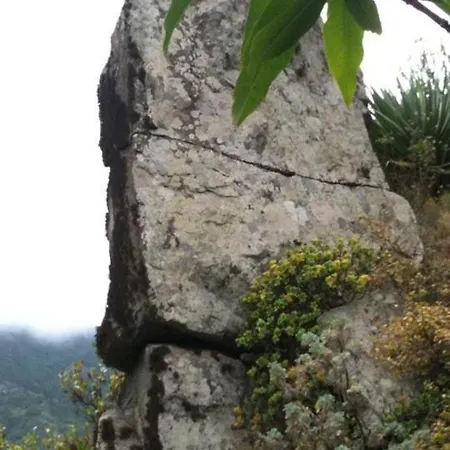 La Maresia * Taganana