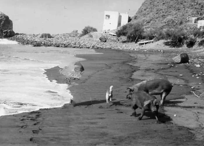 Apartman Ocean Front La Maresia 2 Taganana