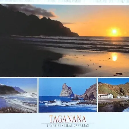 Appartement Ocean Front La Maresia 2