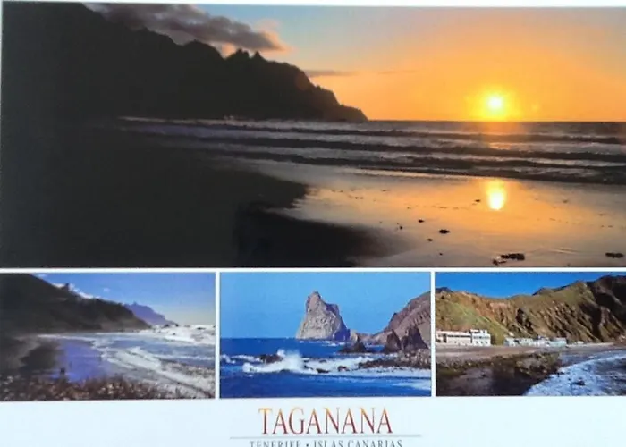 Appartement Ocean Front La Maresia 2