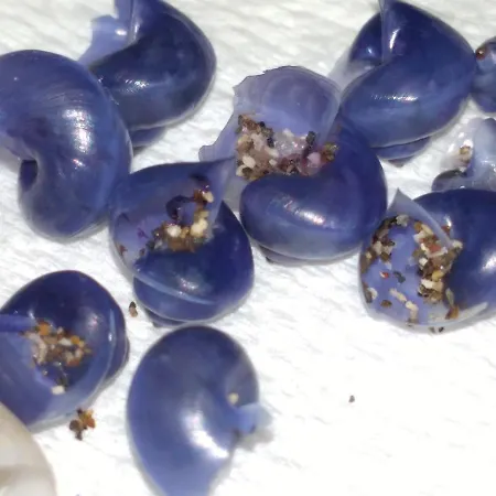 Ocean Front La Maresia 2 Taganana