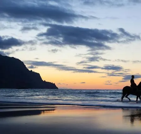 Ocean Front La Maresia 2 Appartement Taganana